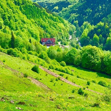 Cabana Izvoarele Doftanei Trăisteni Dış mekan fotoğraf