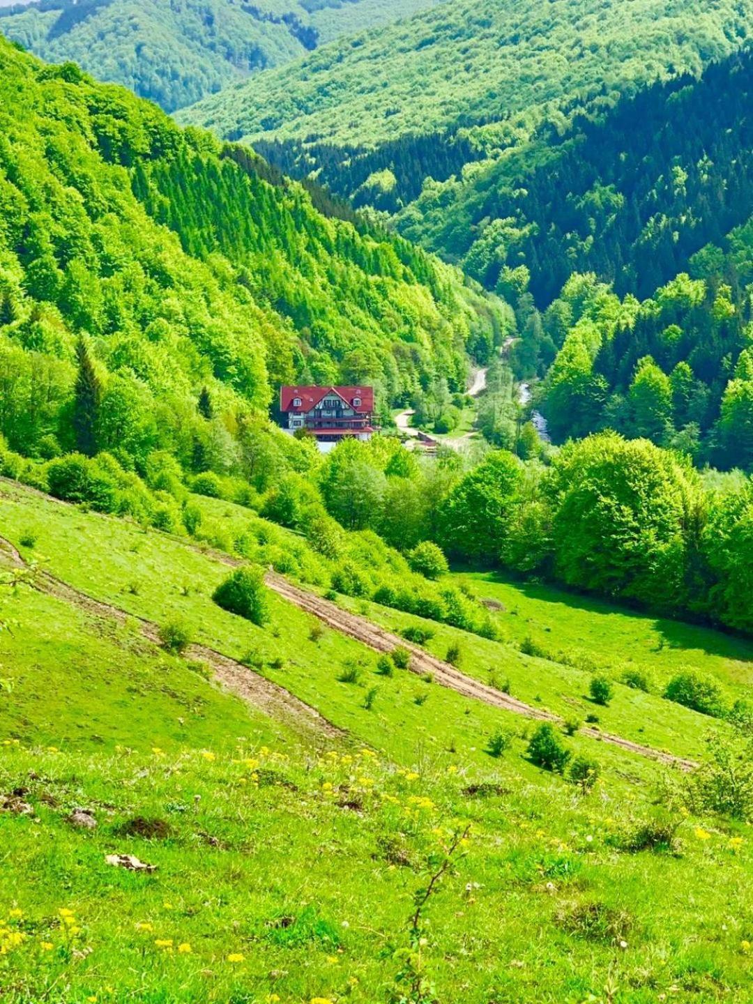 Cabana Izvoarele Doftanei Trăisteni Dış mekan fotoğraf