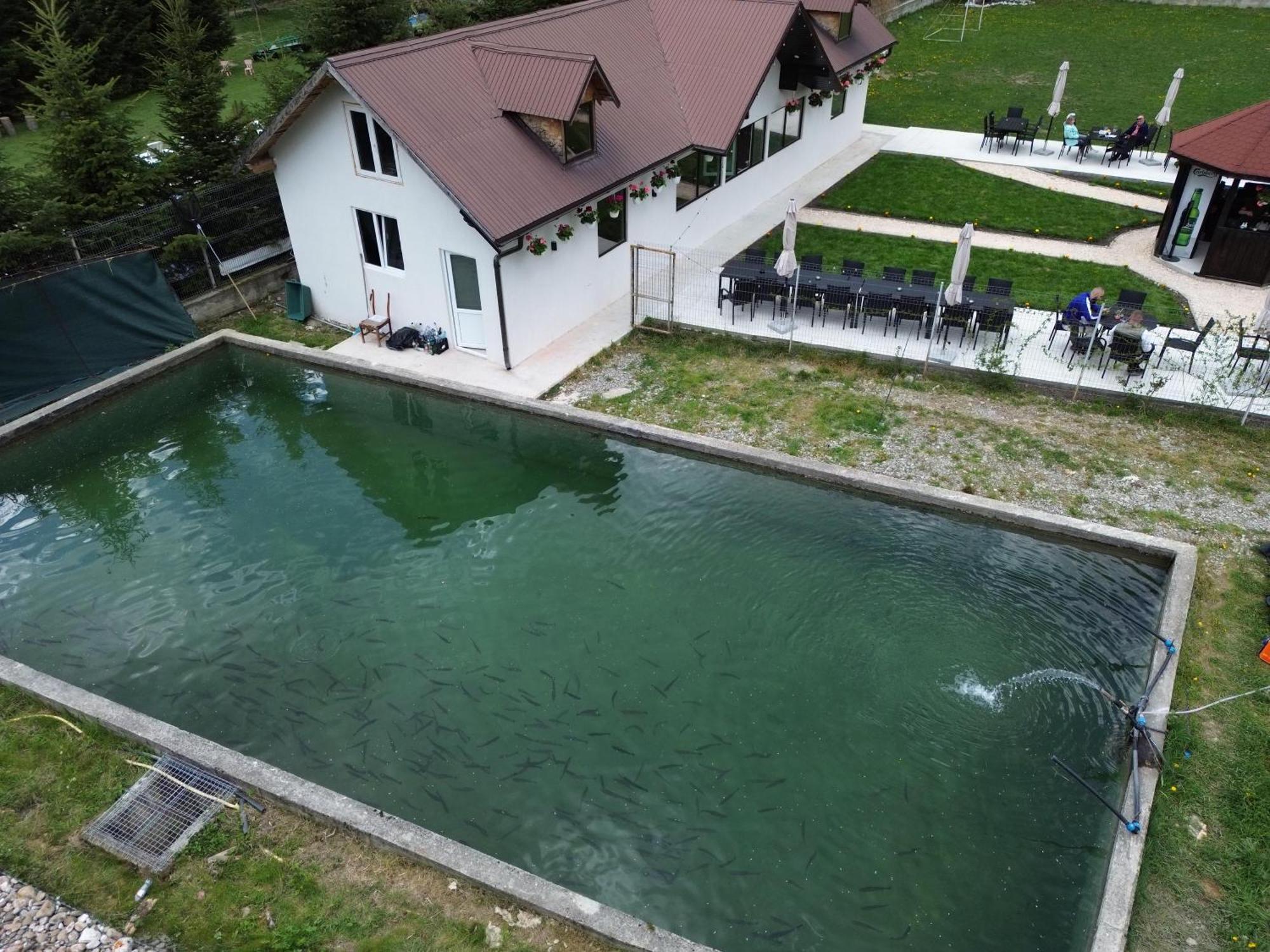 Cabana Izvoarele Doftanei Trăisteni Dış mekan fotoğraf